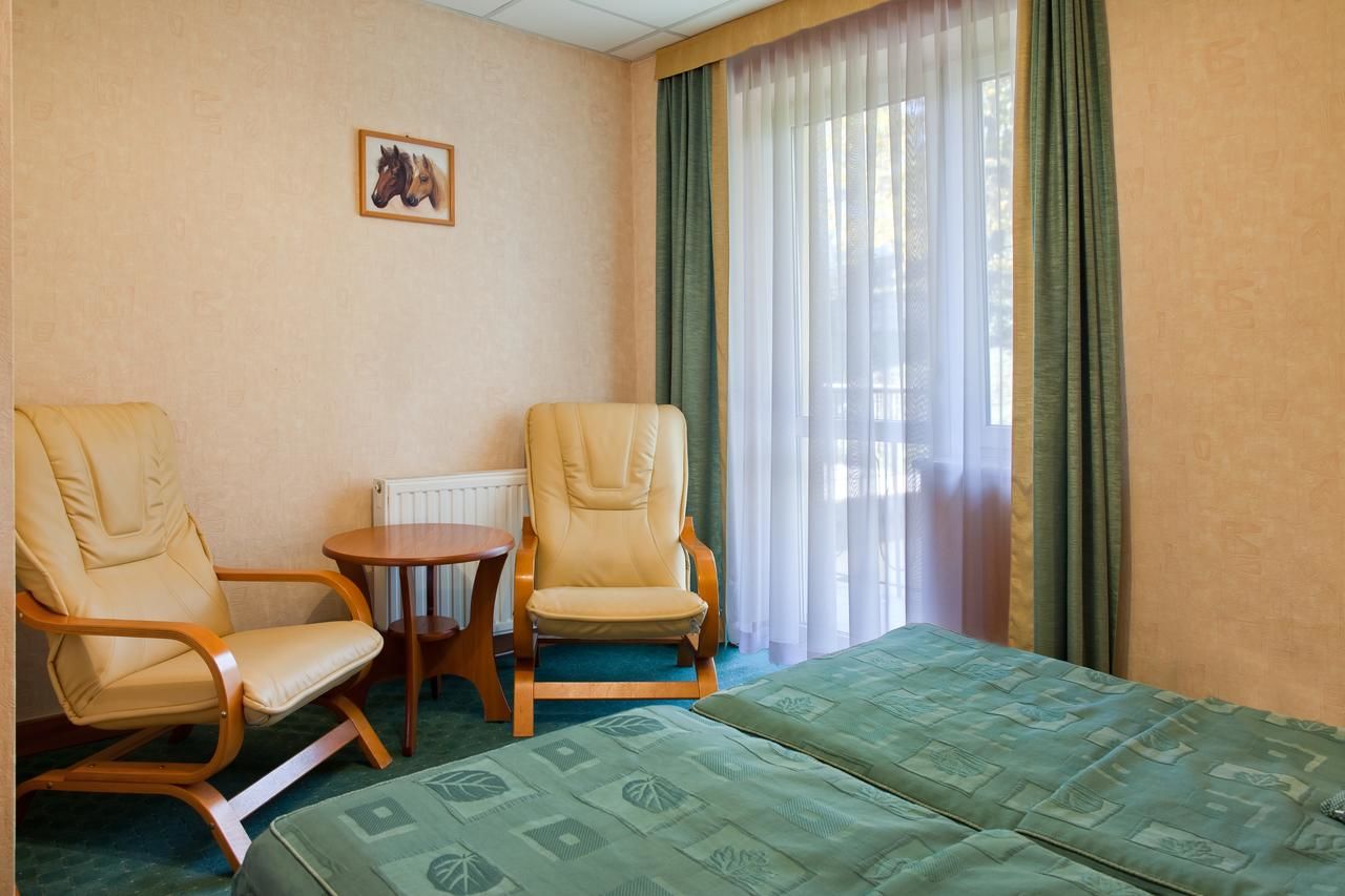 Отель Hotel Henryk Крыница-Здруй-30
