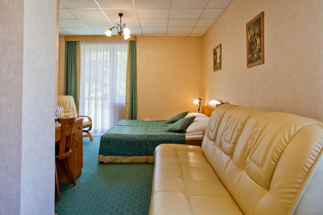 Отель Hotel Henryk Крыница-Здруй-32